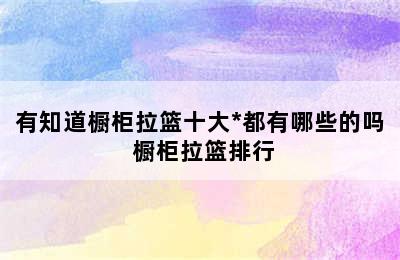 有知道橱柜拉篮十大*都有哪些的吗 橱柜拉篮排行